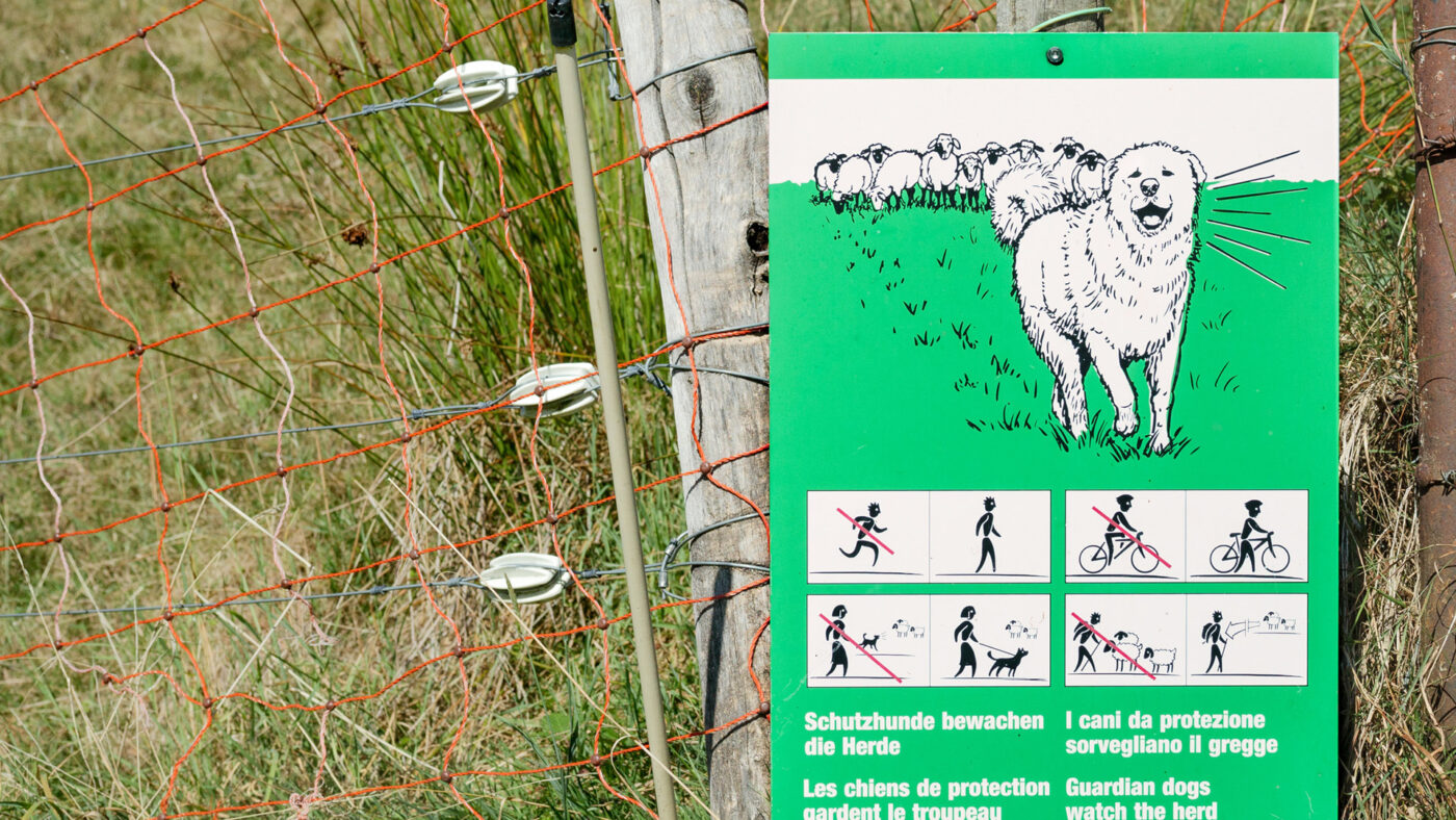 Ein Schild auf einer Weide, dass auf das Vorhandensein von Herdenschutzhunden.
