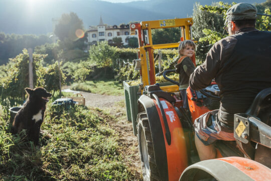 Ein Traktor mit einem lachenden Kind und einer erwachsenen Person fährt über ein Feld, die Sonne scheint.