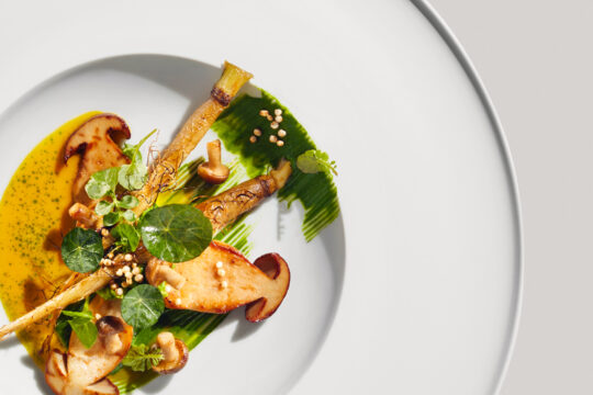 Ein ästhetisch angerichtetes Gericht mit Pilzen von oben fotografiert.