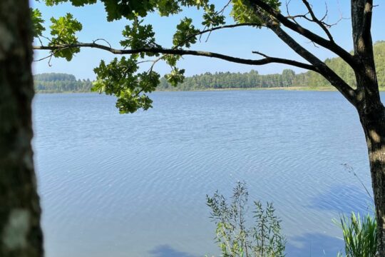 Ein See vom Ufer aus.