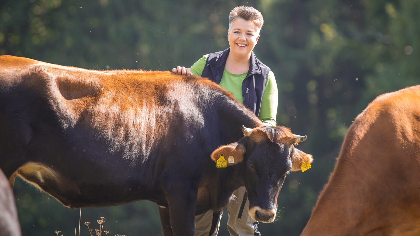 Eine Person steht lächelnd zwischen Kühen.