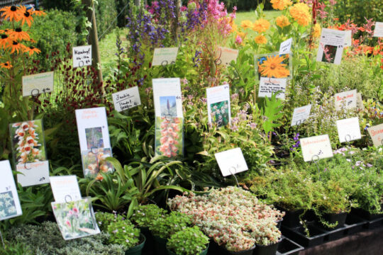 Mehrere verschiedene beschriftete Pflanzen an einem Messestand.