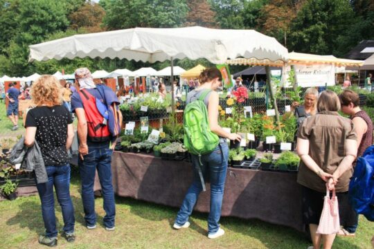 Mehrere Personen stehen an einem Stand auf einer Messe und betrachten Pflanzen.