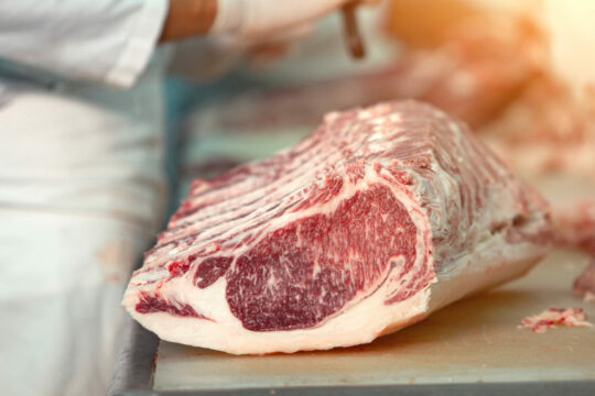 Ein großes Stück rohes Fleisch liegt auf einer Oberfläche.