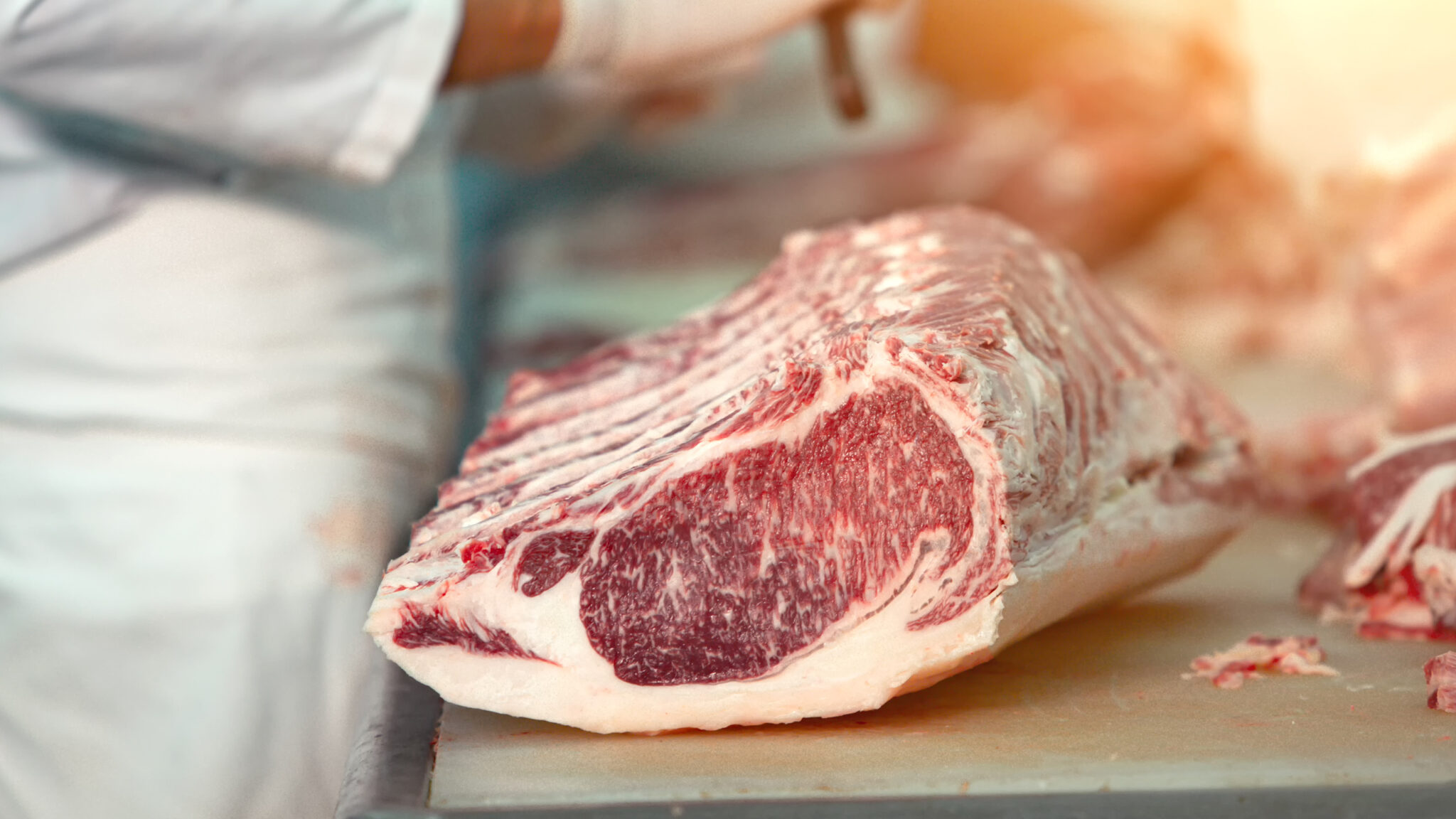 Ein großes Stück rohes Fleisch liegt auf einer Oberfläche.