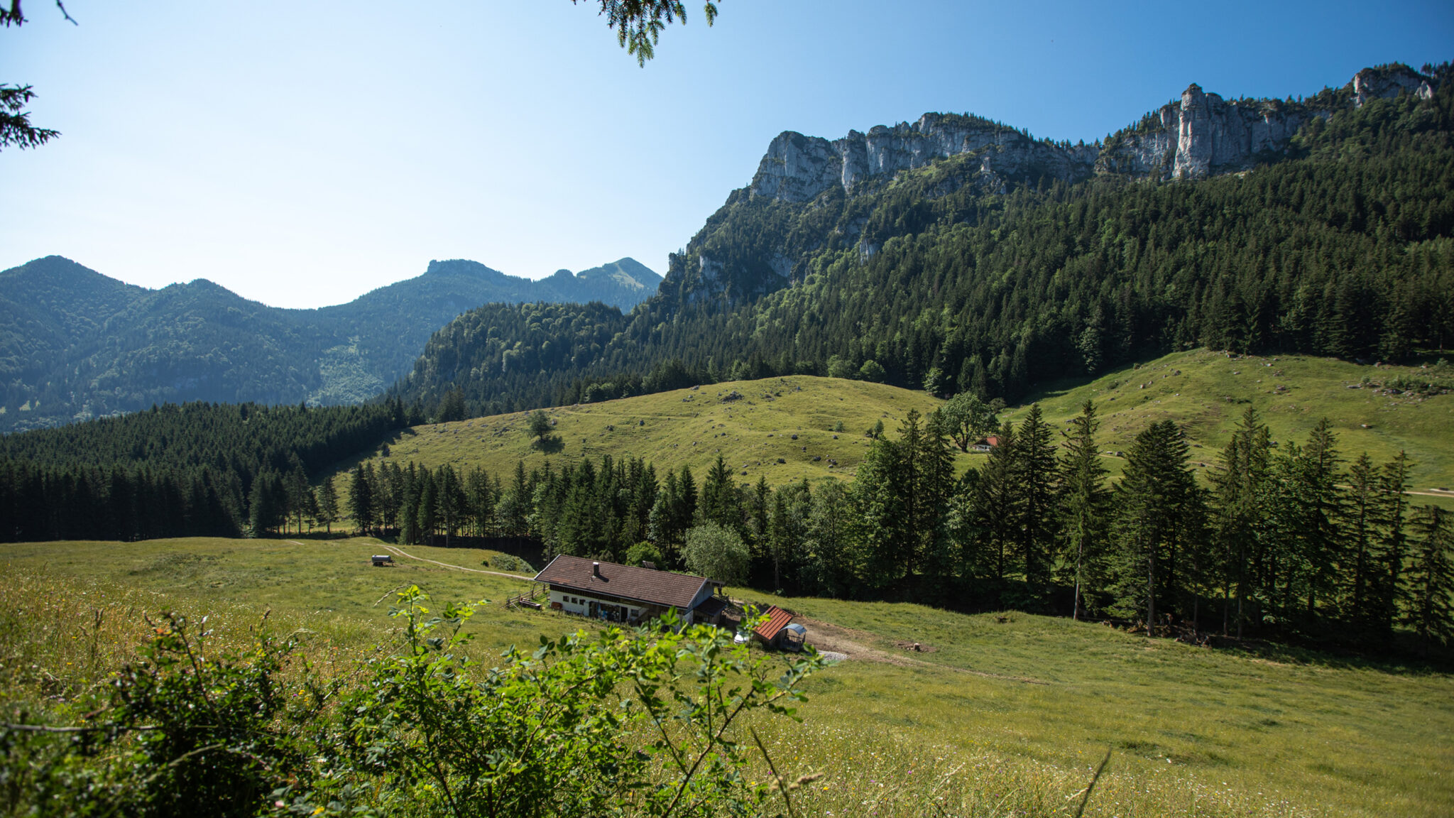 Eine Ansicht einer grünen Alm.