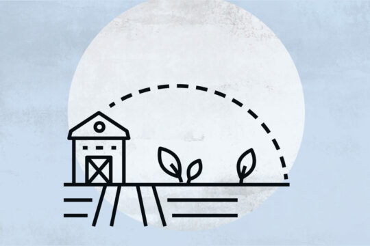 Eine Illustration eines Bauernhofes vor hellem Hintergrund.