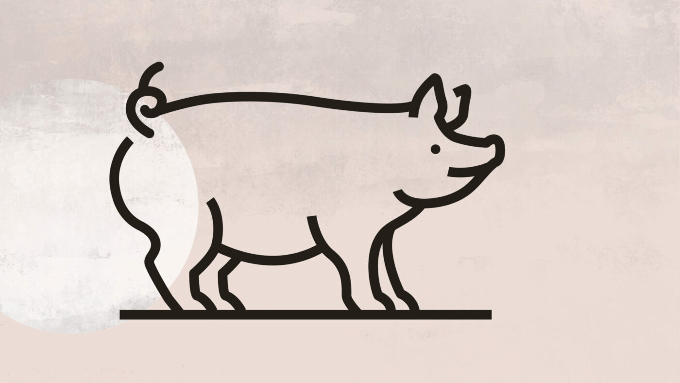 Eine Illustration eines Schweines vor rosa Hintergrund.
