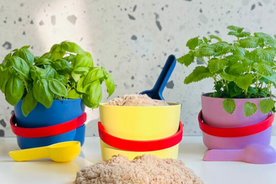 Drei bunte Sandspielkübel stehen nebeneinander, aus zwei von ihnen wachsen Kräuter, der dritte ist mit Sand gefüllt.