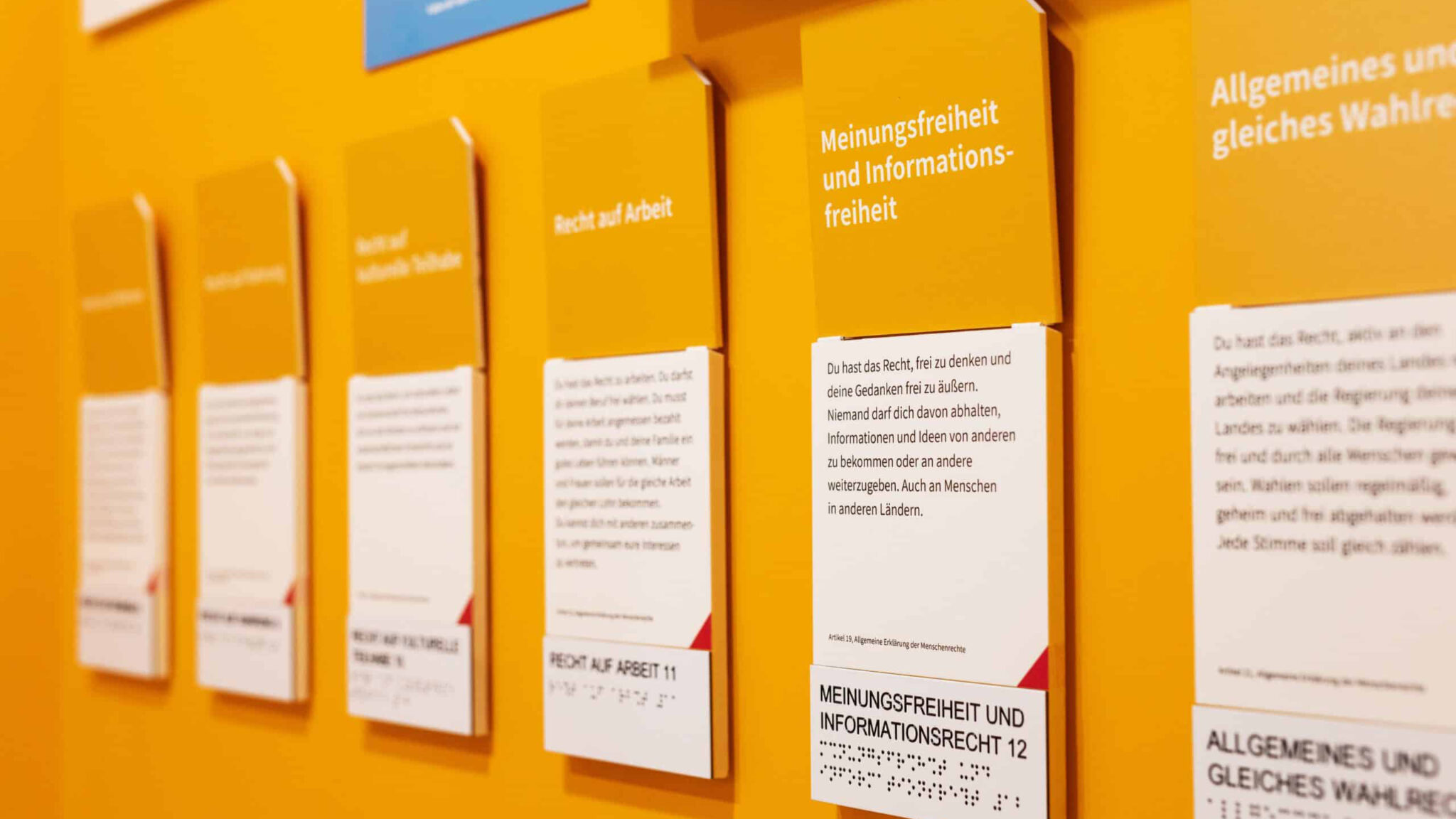 Auf einer gelben Wand hängen Informationen zu verschiedenen Rechtsbegriffen.