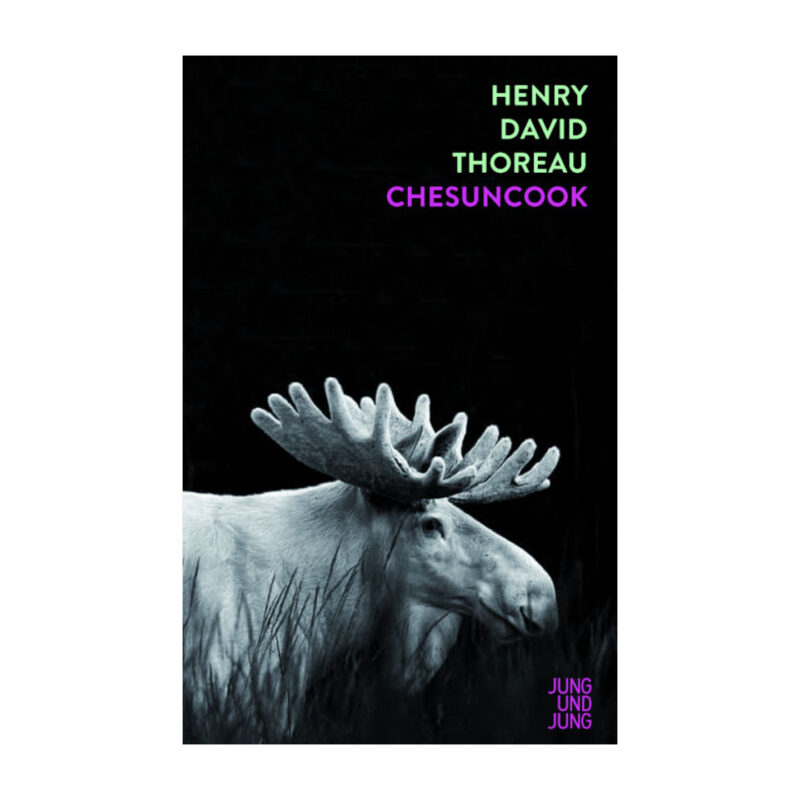 Das Cover von »Chesuncook«