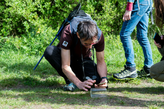 Eine Person fotografiert etwas sehr kleines im Gras.