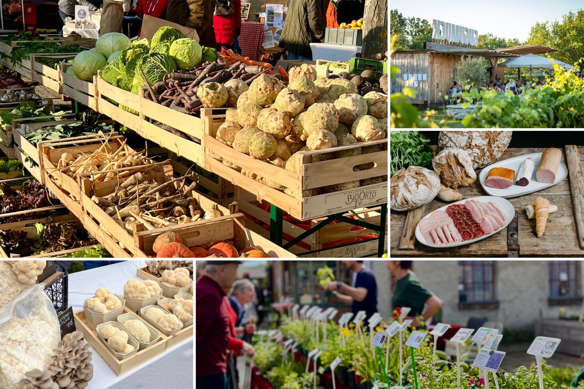 Eine Collage aus mehreren Bildern von einem Markt, an dem viel Gemüse angeboten wird.