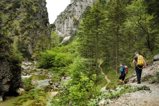 Eine Gebirgslandschaft mit Bach.