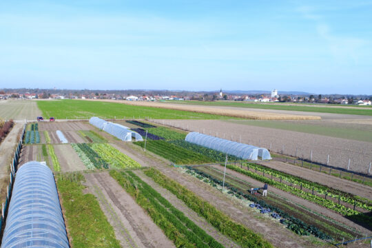 Eine Marktgärtnerei von oben.