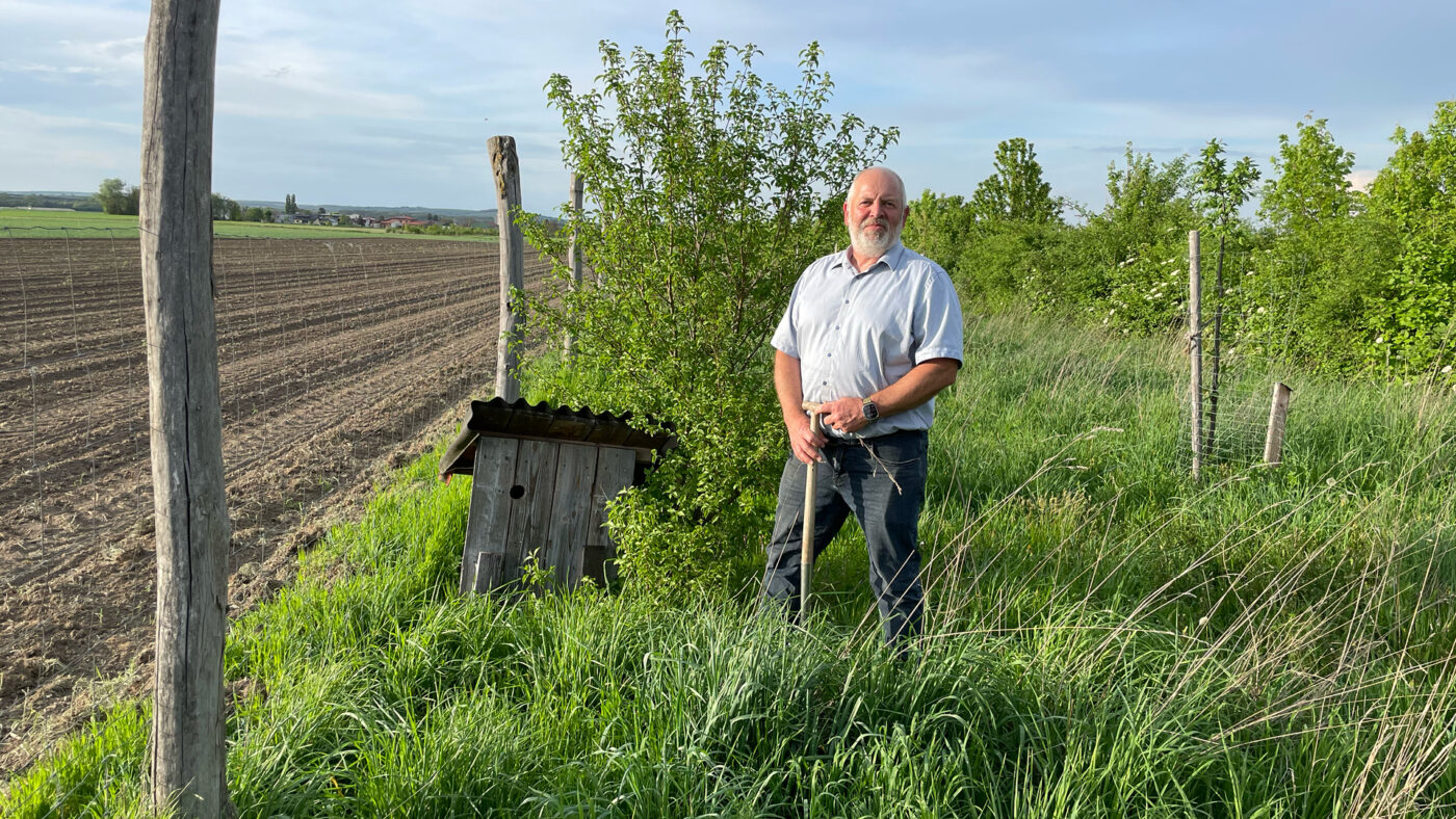 Ein Mensch steht in einer grünen Wiese.