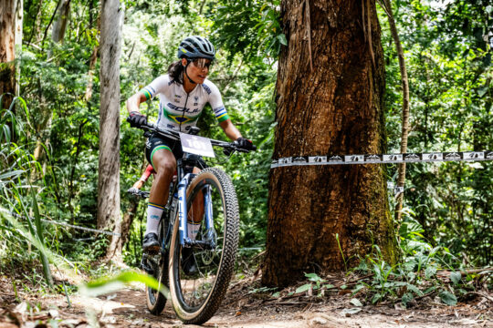Eine Person fährt auf einem Mountainbike durch den Wald.