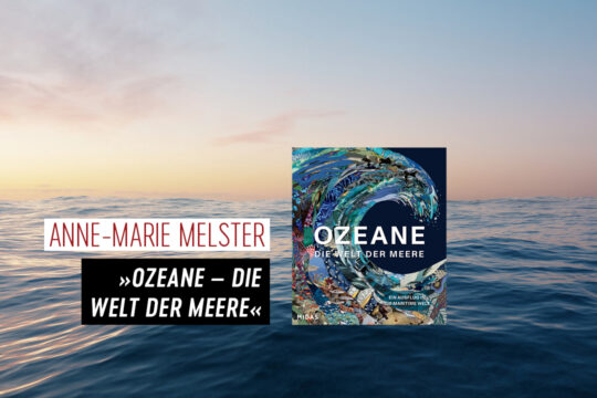 Das Cover von »Ozeane«.