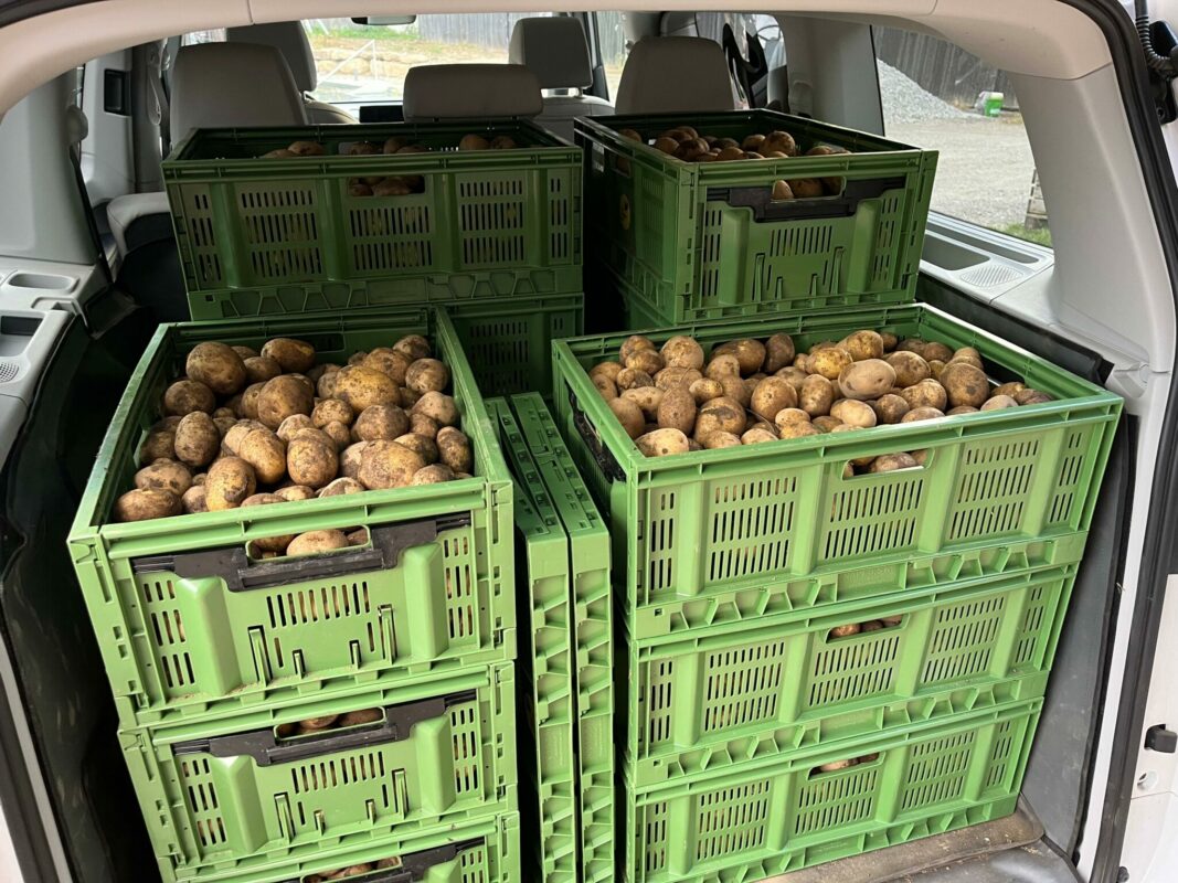 Bioerdäpfel im Kofferraum