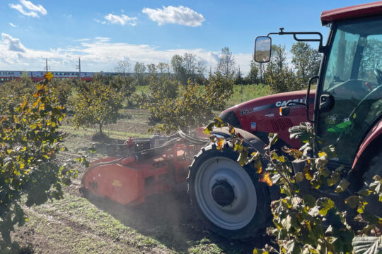 Biobauer Christoph Böckl bestellt das Feld mit seinem Traktor.