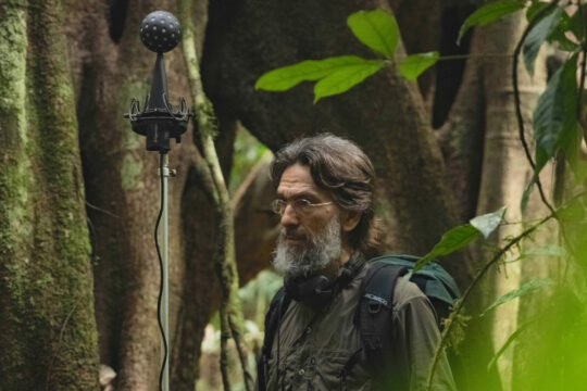 Öko-Akustik-Forscher und Komponist David Monacchi eröffnet das Festival »Stimmen der Wildnis«. (Bild: Museum Niederösterreich)