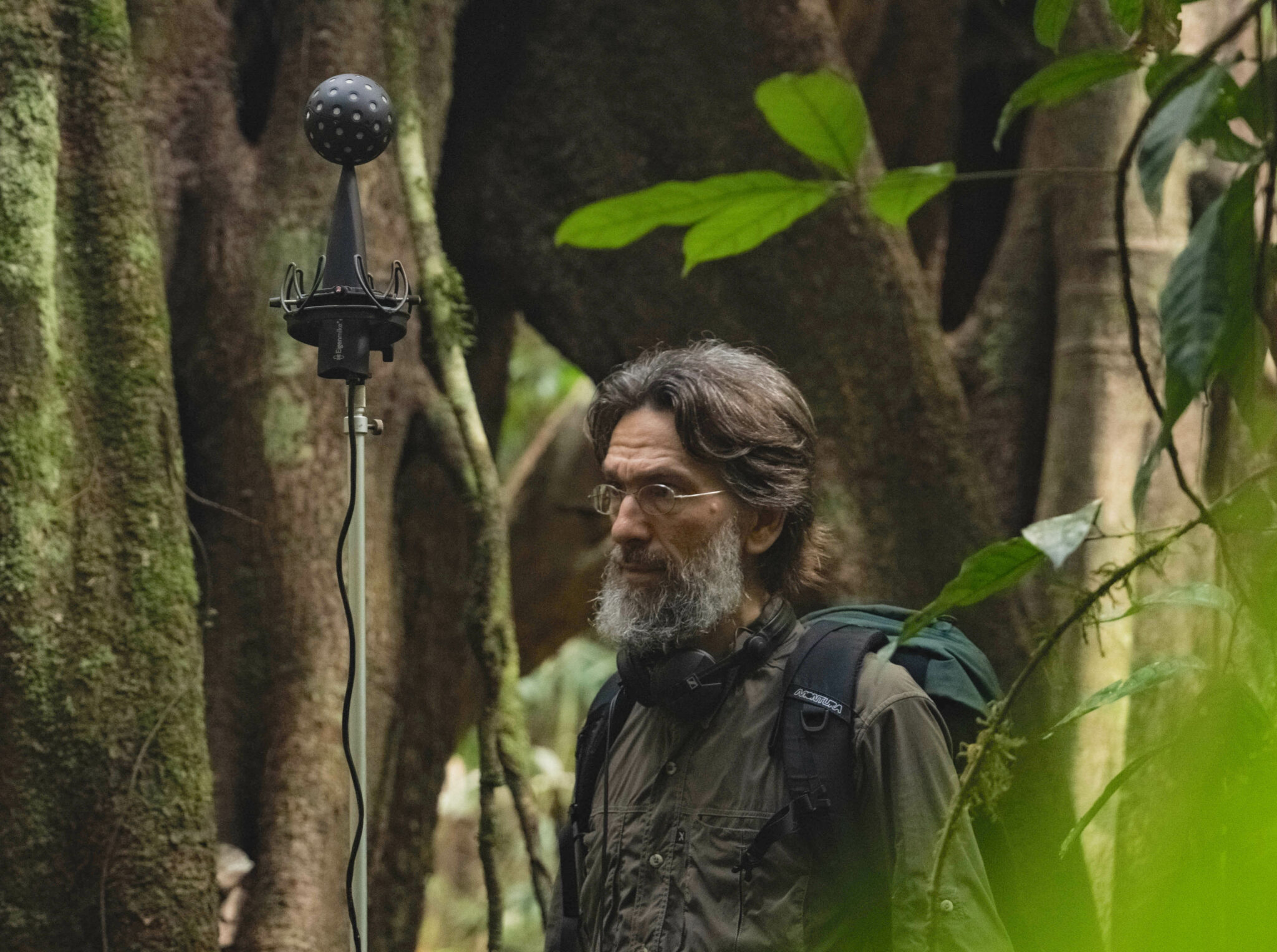 Öko-Akustik-Forscher und Komponist David Monacchi eröffnet das Festival »Stimmen der Wildnis«. (Bild: Museum Niederösterreich)
