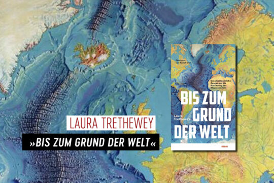 Cover des Buches »Bis zum Grund der Welt« von Laura Trethewey.